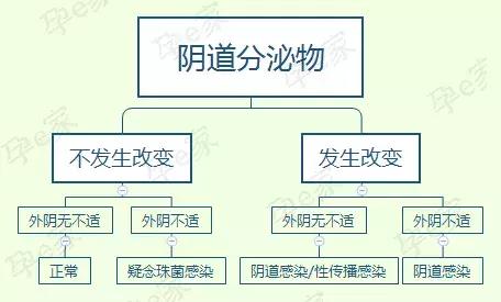 孕期内裤总是潮乎乎的该怎么办,孕妇中期内裤总是潮乎乎的