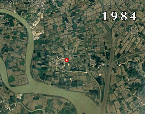 小鸟天堂真实现状,小鸟天堂后续怎样了