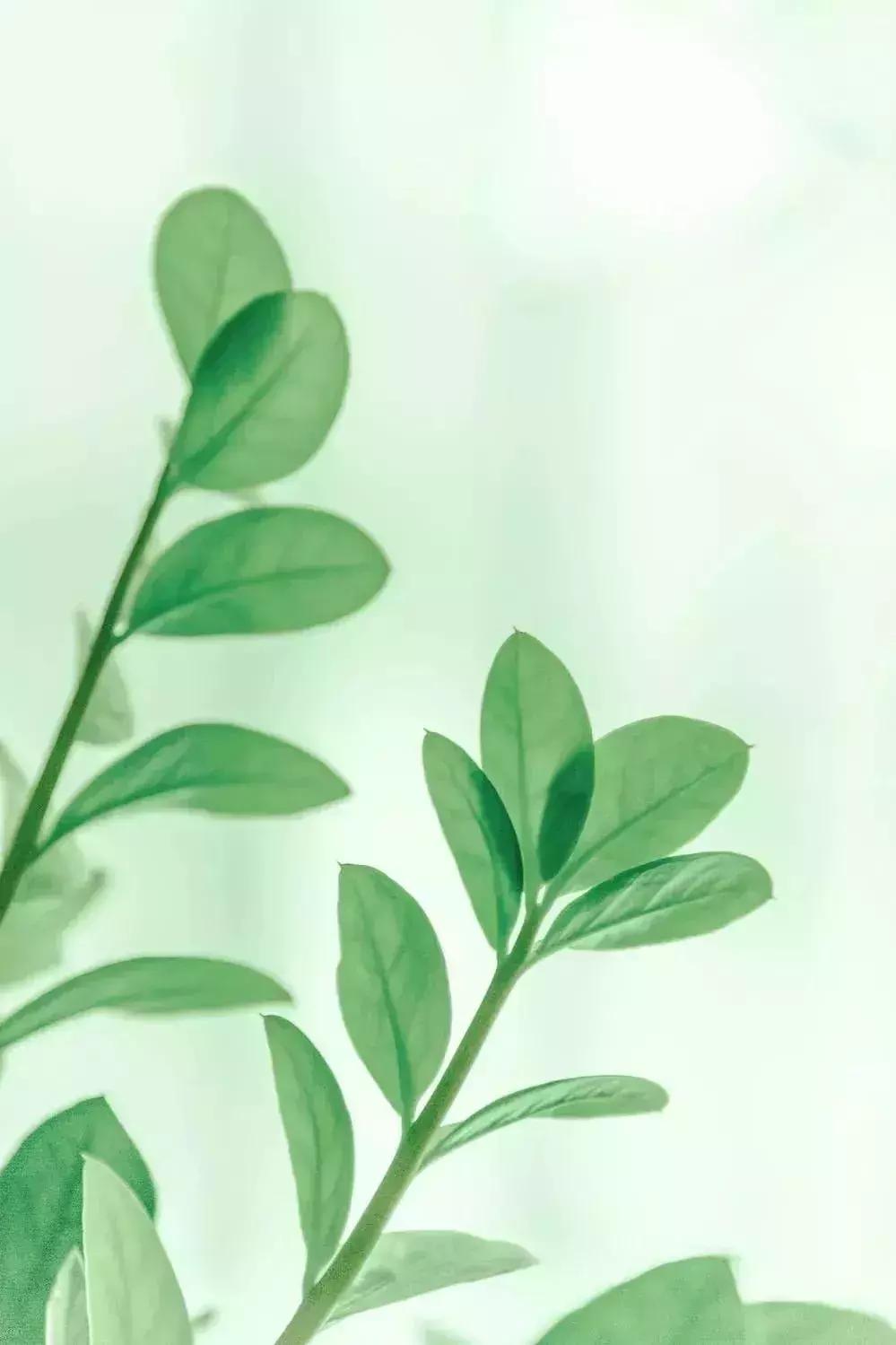 “筑梦乡村•幸福同行”碧桂园•英德连铁古驿道公益徒步活动