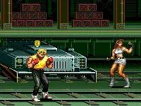 md战棋游戏,md双人游戏