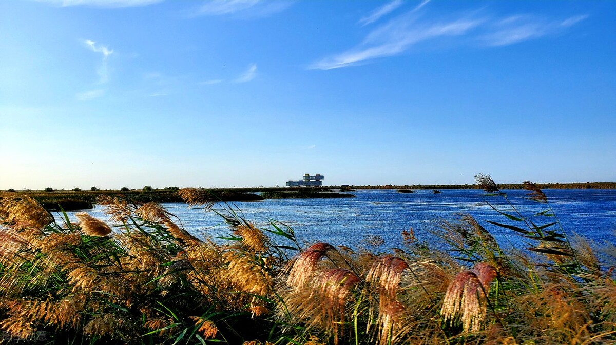 山东事业单位考试备考,山东事业单位考试综合写作