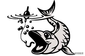 硬饵竿与软饵竿的区别,硬竿跟软竿的感度区别