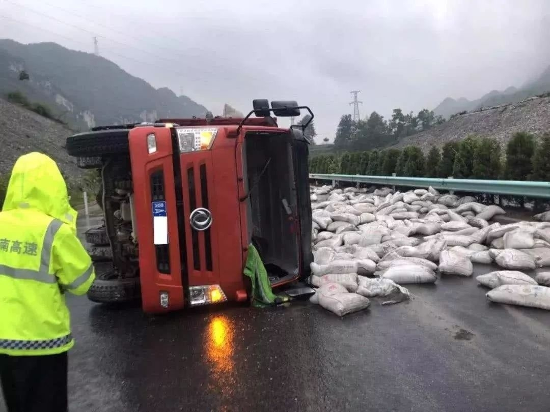 开车撞了小动物怎么处理,开车高速路上撞到小动物怎么化解