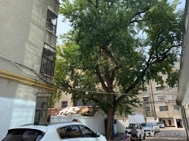 滨州金属小区拆迁,再见了滨州的视频