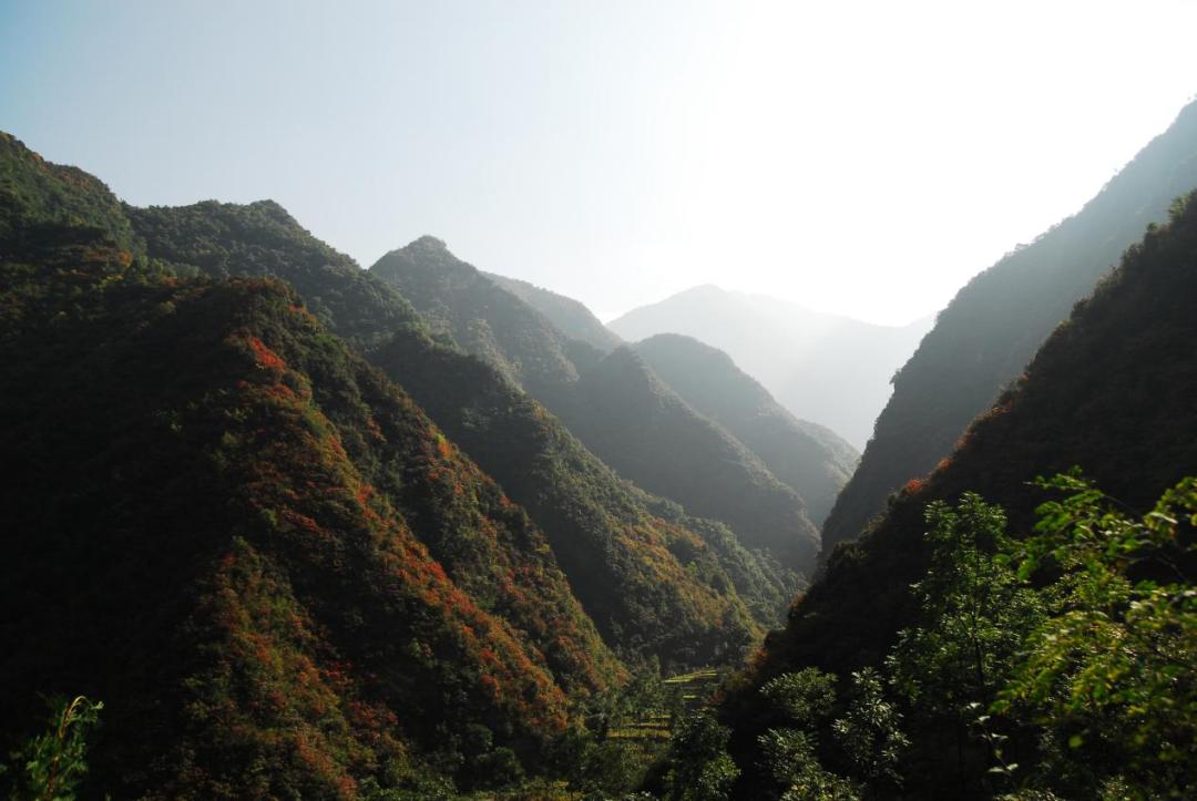 放假了，就去旬阳羊山吸氧、养心，洋洋自得拍“抖音”吧！