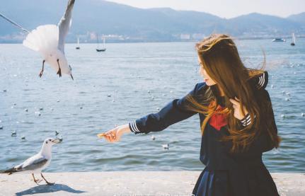 昆明适合拍照的景点有哪些,昆明大理周边旅游景点排名榜前十