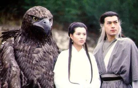 神雕真的存在,历史上真实的神雕