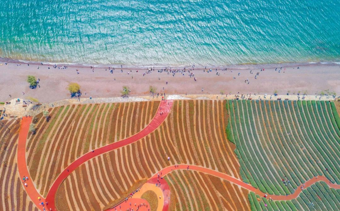 云南抚仙湖绝美风景,云南人少地方美