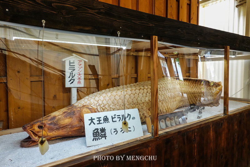 日本的哪个地方温泉最出名,日本最野的温泉
