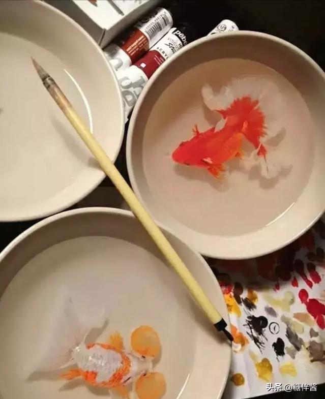 水哥为什么不继续上最强大脑,当年最强大脑的水哥现在如何了