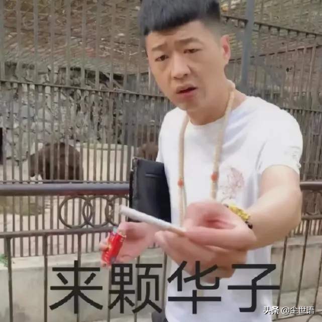 《好大哥系统》，这书，味道很重，还很上头