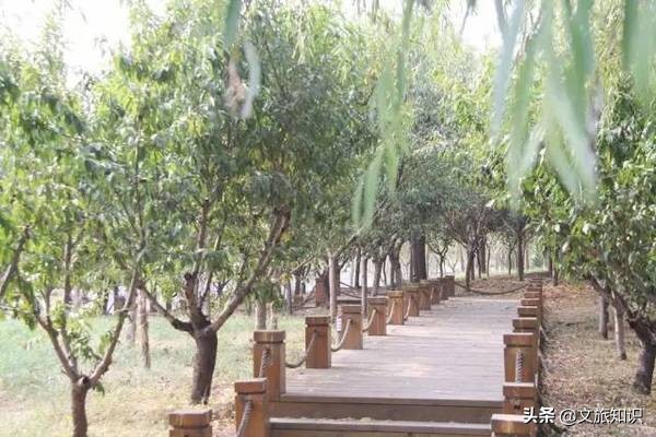 山东德州动植物园旅游区,德州市动植物园视频