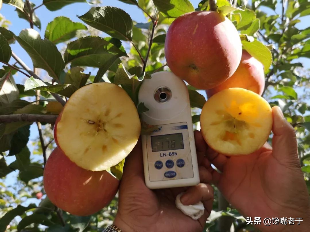 8月份吃什么水果既经济又健康,6月最该吃这5种营养水果