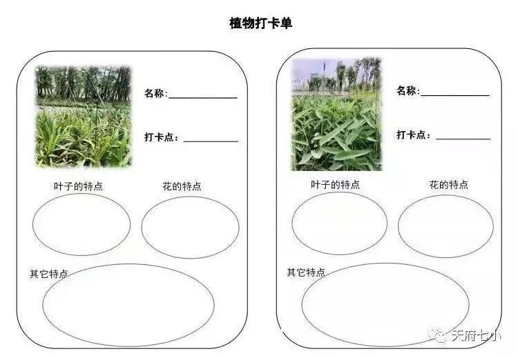 别人家的学校,天府七小和元音小学哪个好