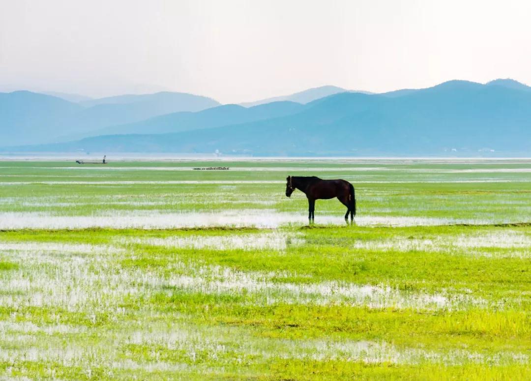 去丽江住哪个客栈好,丽江住两晚推荐