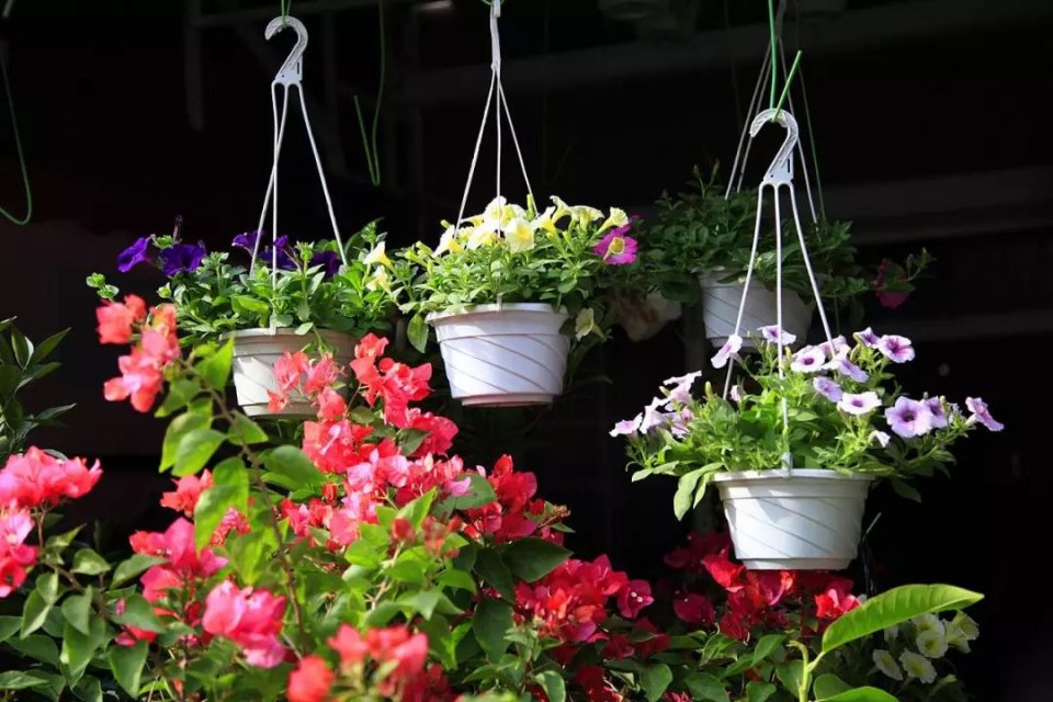 深圳年货批发市场进货渠道,深圳宝安区年货批发市场