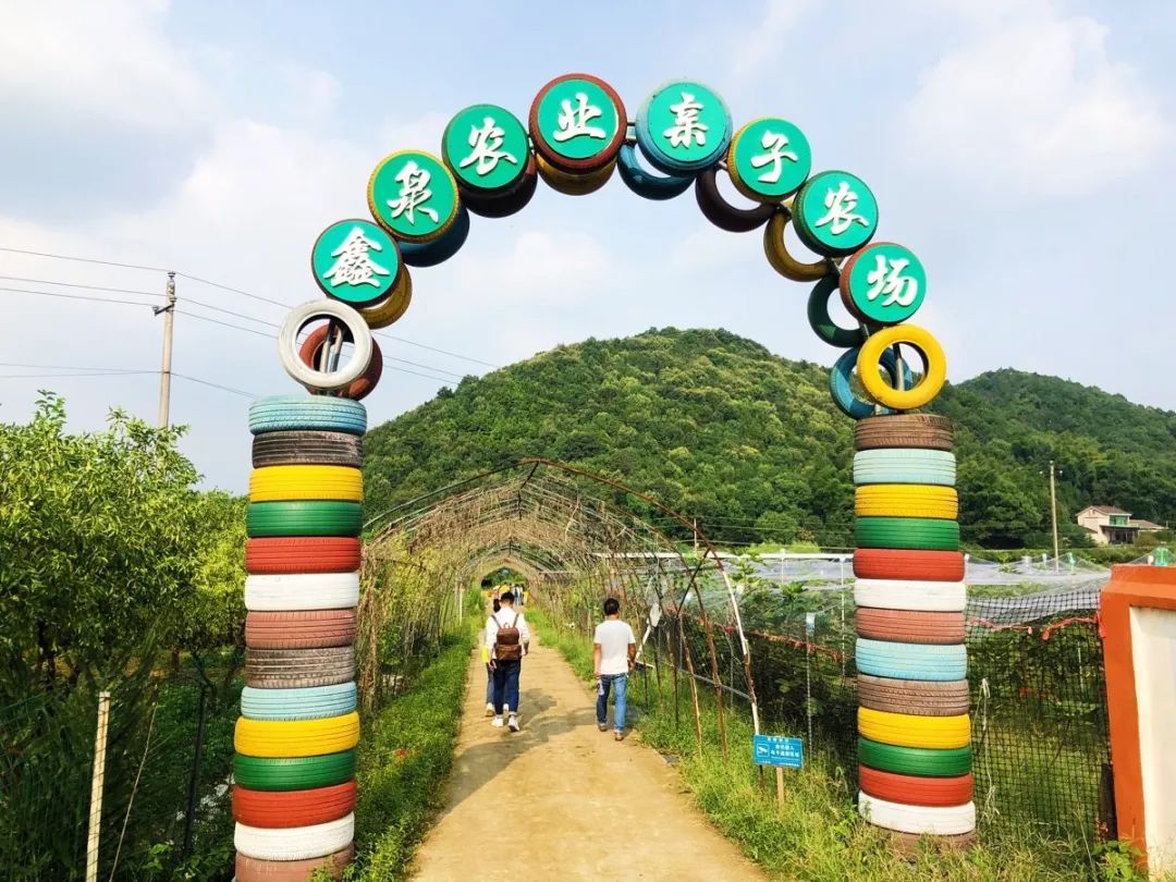 长沙生态农庄野炊采摘,长沙岳麓区垂钓农家乐