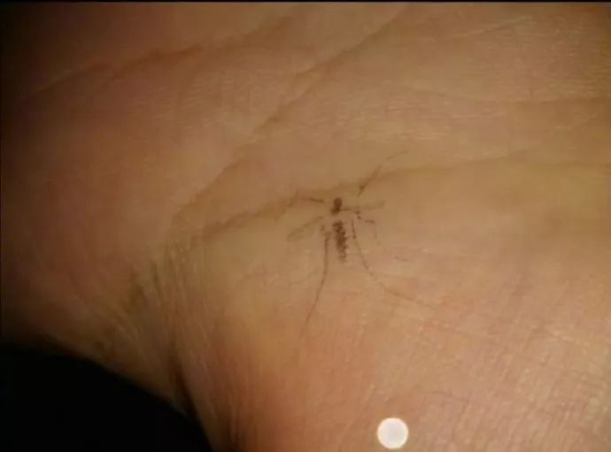 你们喝醉酒后，都干出什么事儿？哈哈哈哈哈哈哈哈哈