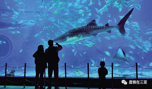 三亚必去的海棠湾,三亚海棠湾旅游攻略