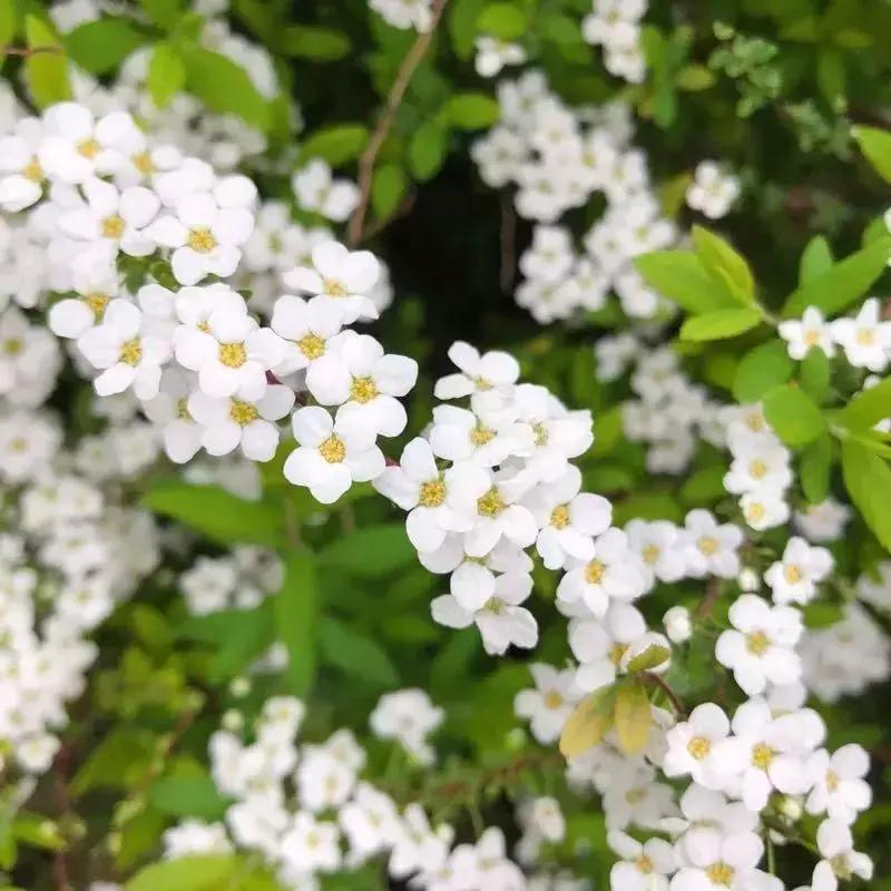 省妇幼最近新闻,省妇幼现在什么情况