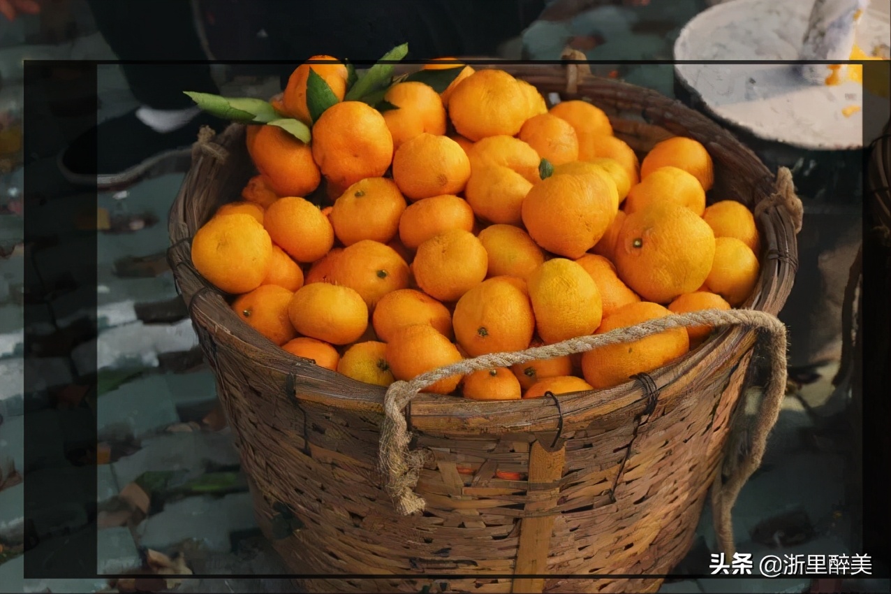《橘子红了》拍摄地风光正当时!苏州吴中东山美食美景等你来