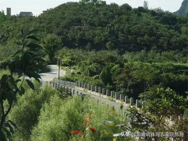 梨木台景林农家院,梨木台景林农家院直播