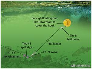 钓三文鱼视频野钓,三文鱼夏季淡水钓法