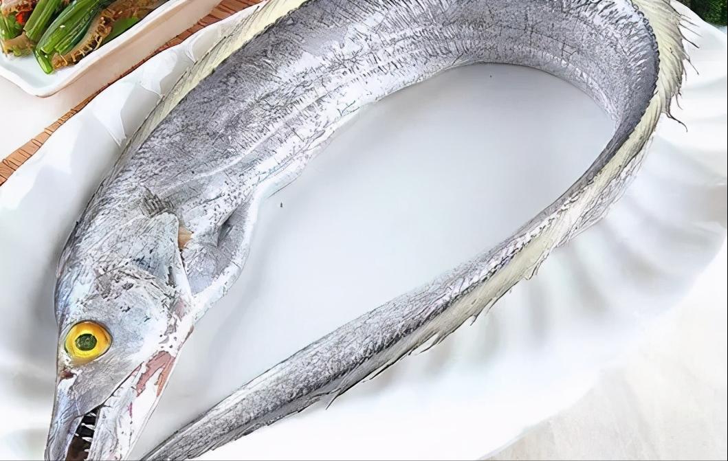 舟山带鱼特级多宽,舟山带鱼一般几指宽