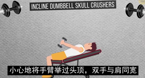 怎么练手臂的肱三头,怎么才能练出手臂的肱三头肌