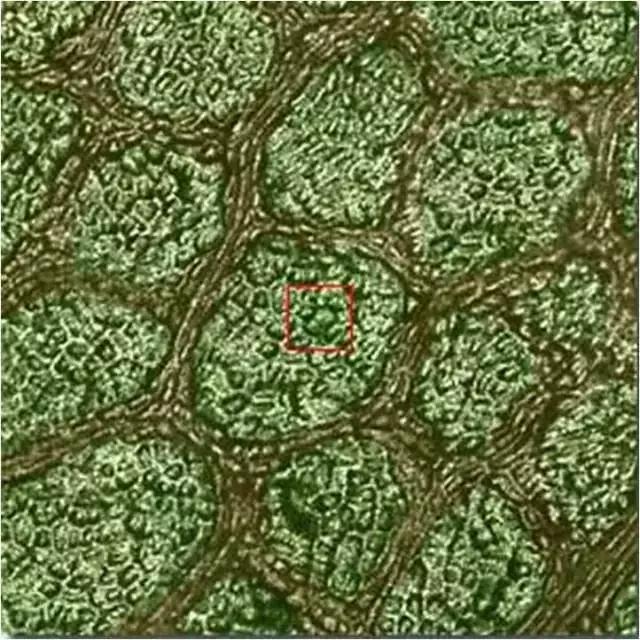 色即是空：这些图片看完后你还有什么想不通？