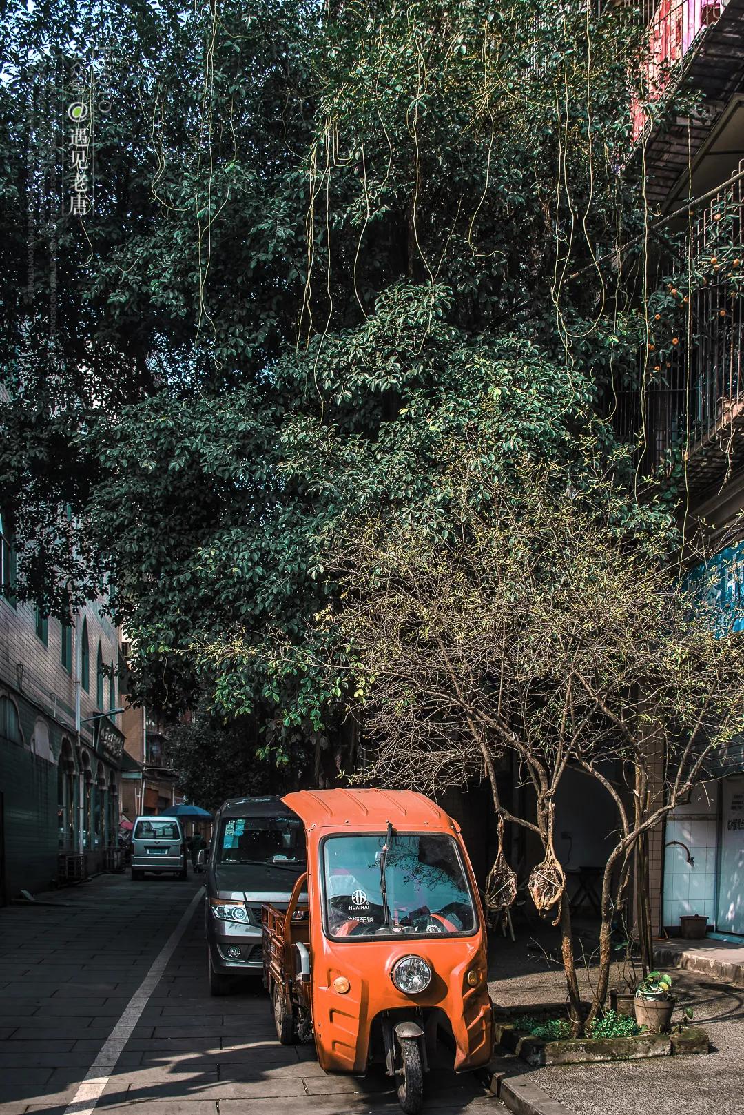 老泸州的回忆,泸州小市老城区