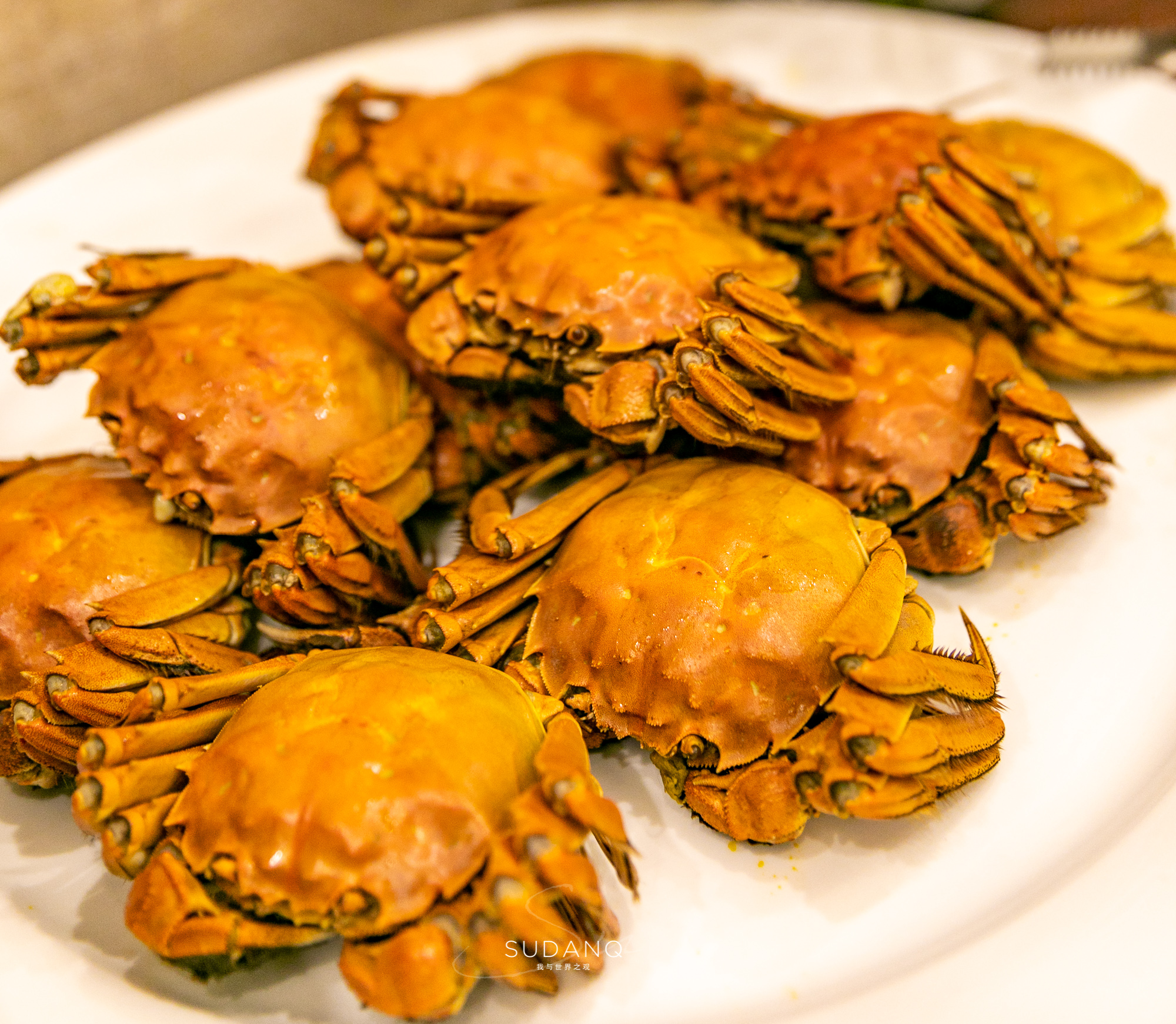 江苏泗洪的风景,江苏的苏南和苏北有什么区别