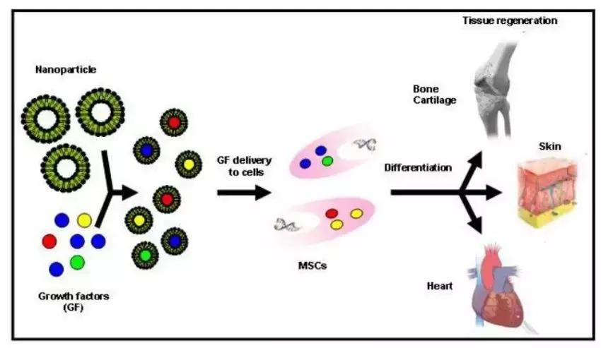 冻干粉的内幕,干粉背后故事