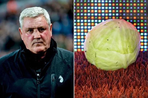 辣椒大葱圆白菜，绿茵场上原来不只有草