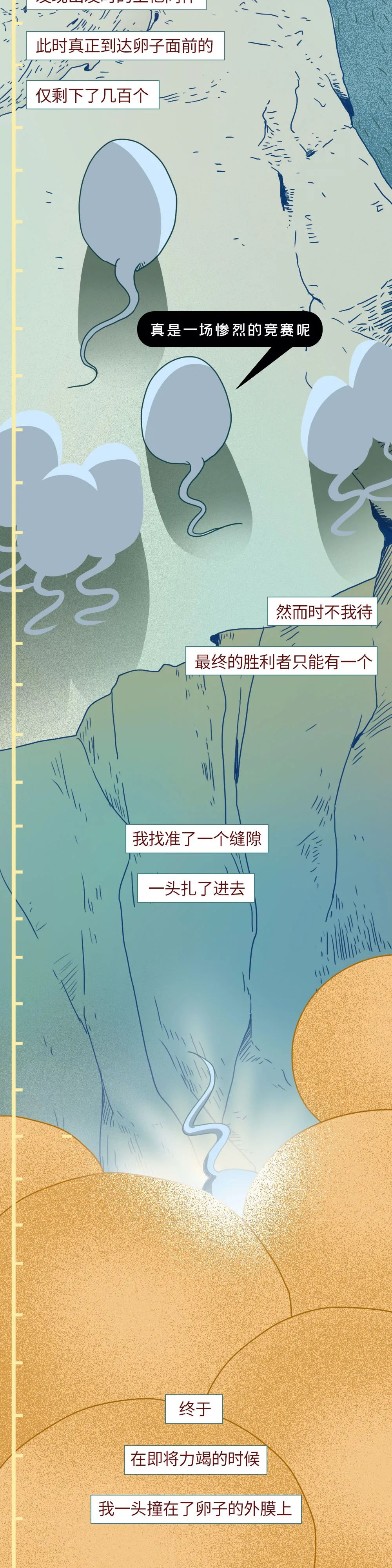 精子进入人体24小时变化,男性精子在体内存活时间