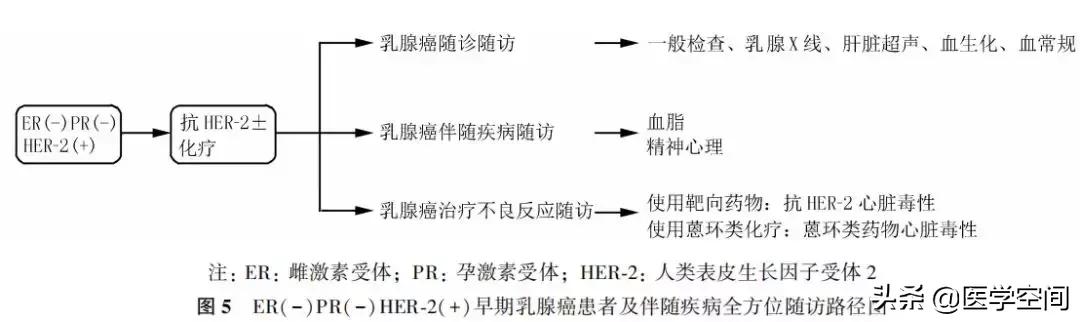 【指南与规范】乳腺癌随访及伴随疾病全方位管理指南