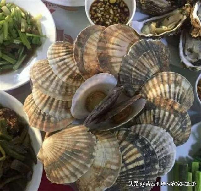 大连獐子岛旅游攻略住宿,獐子岛旅游住宿费用