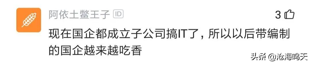 国企程序员都做什么的呀,国企程序员都做什么工作