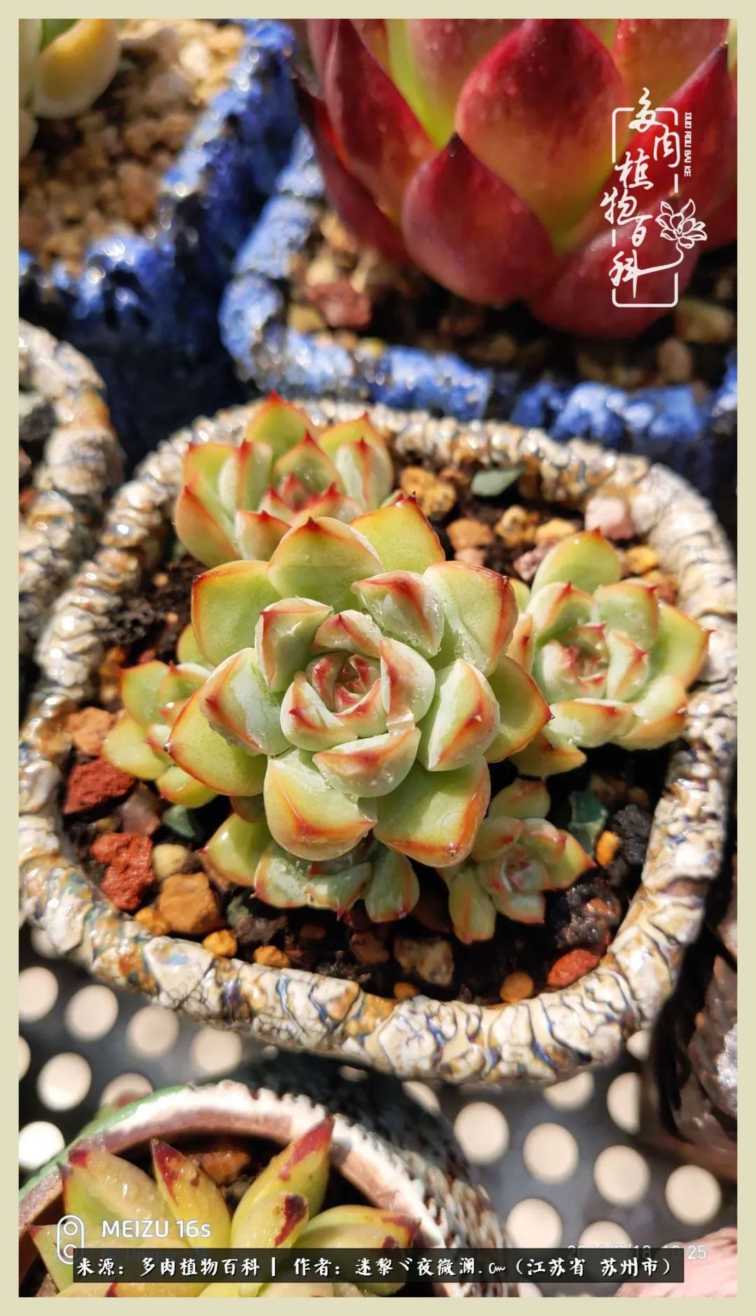 秋尽冬来岁月不居时节如流,岁月不居时节如流水