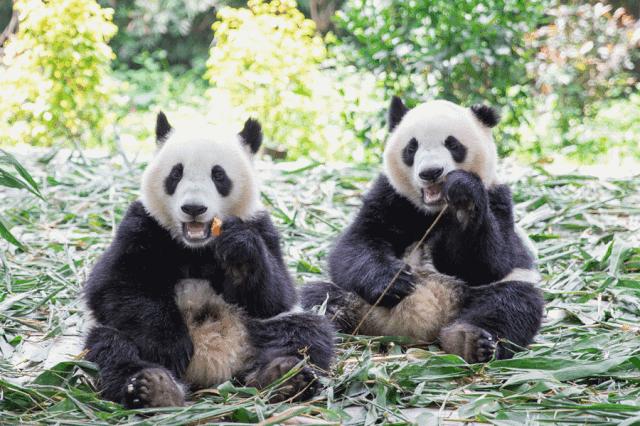 广州长隆儿童欢乐世界春节,广州长隆欢乐世界春游儿童玩什么