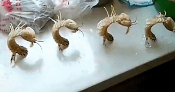 开海了怎么选海鲜,开海了囤点什么海鲜合适