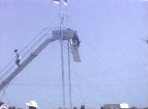 那些搞笑的表情包和照片,多喝水搞笑表情包gif