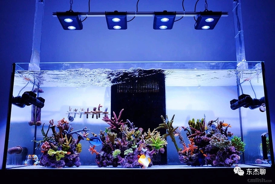 海缸推荐用什么过滤器,海缸用哪种过滤最好