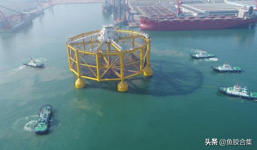 花胶主要产自哪里,国内花胶产地哪里最出名呢