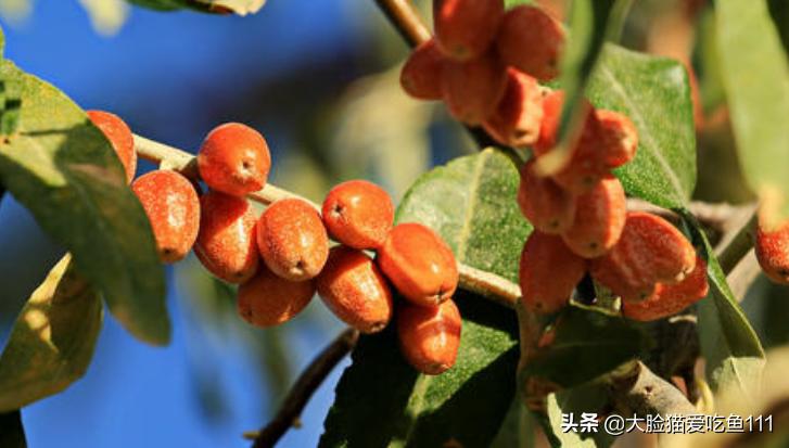 北疆和南疆十大美食,新疆和田的特色产品