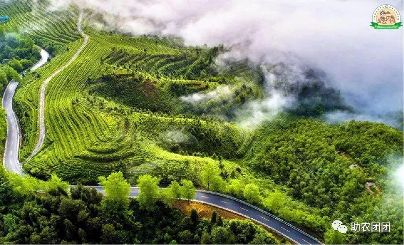 助农团团最新视频,助农团团印江