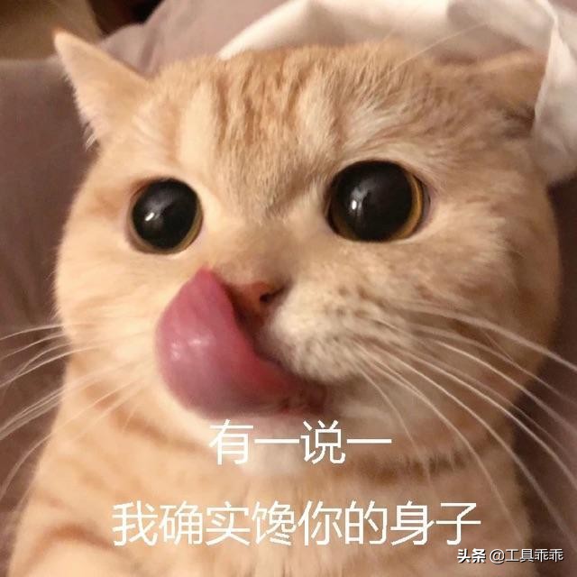 全平台游戏加速器下载,免费的网络游戏加速器