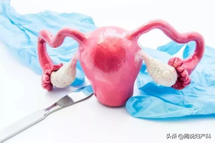 下面总是痒?也许是这个“好习惯”在作怪