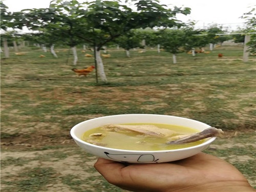 多肉哥农庄日记第21篇：培训结束，收获满满。