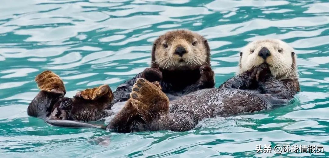 美国阿拉斯加州首府是哪个城市,美国阿拉斯加州属于飞地吗